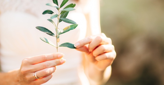 Biote Pellet Therapy: The Natural Way to Balance Your Hormones image